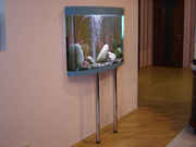 Аквариумы, террариумы