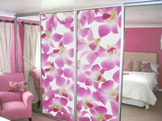 Шкаф купе на заказ Киев .NEW! дизайн дверей-купе