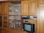 Продам стенку в гостинную Кий